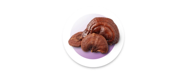 Reishi kivonat